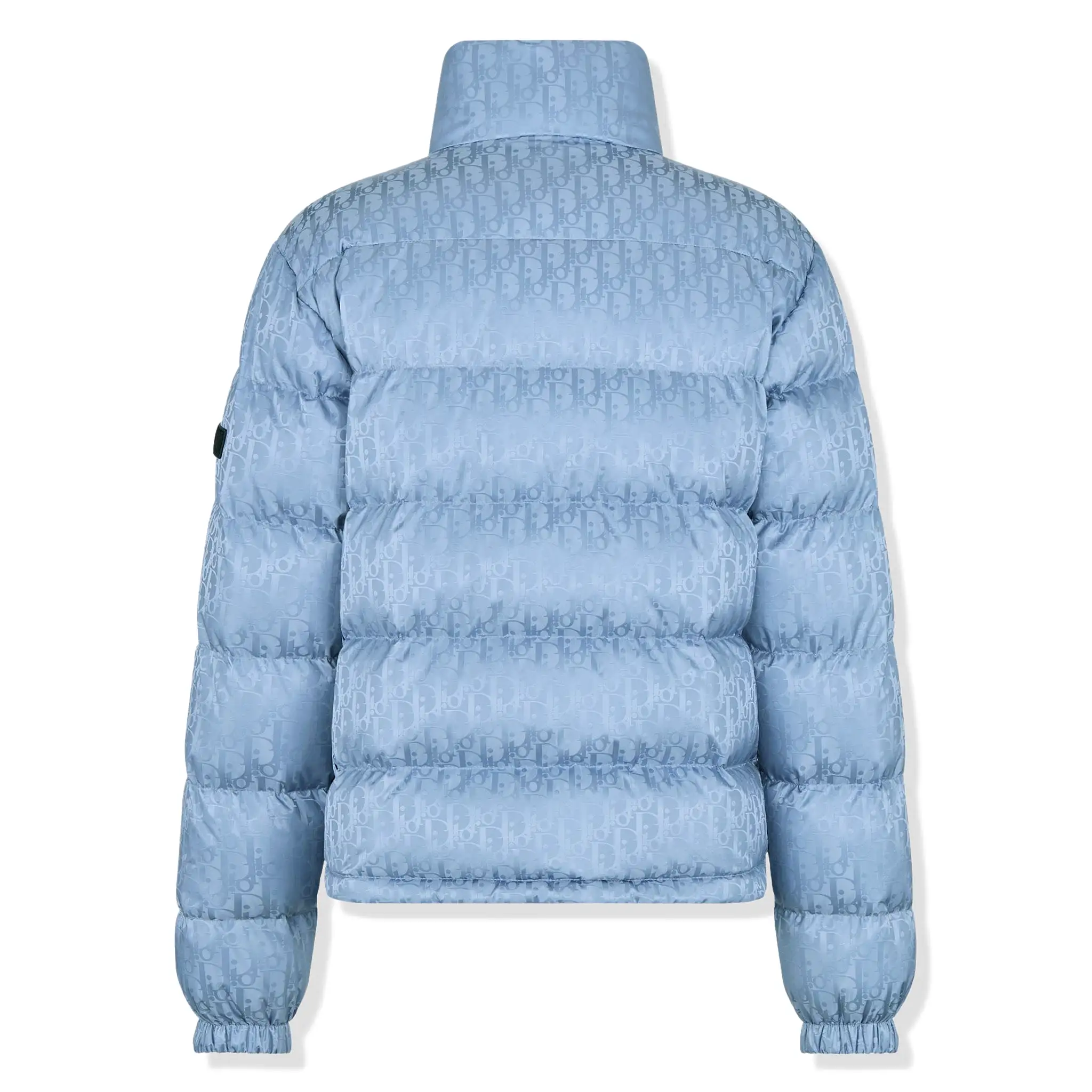 Dior Oblique Blouson Blue Down Jacket